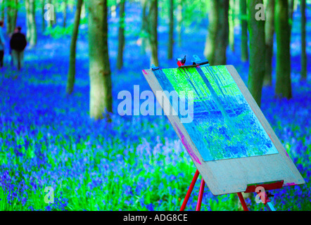 Ashridge Woods Glockenblumen - Buckinghamshire Stockfoto