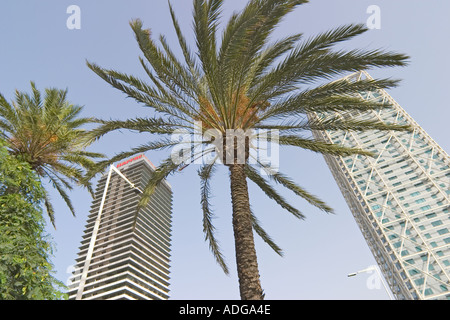 Barcelona Spanien moderne Gebäude Hotel Arts Mapfre tower Port Olimpic Stockfoto