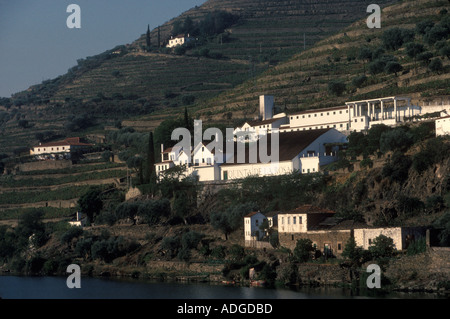 Quinta De La Rosa Bergquist Estate oberen erreicht der Douro-Tal Portugal HOMER SYKES Stockfoto