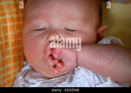 Modell freigegeben zehn Wochen alten Babymädchen Stockfoto