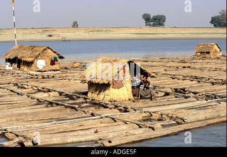 Haus auf einem Bambusfloß, das auf der Oberseite Teak Protokollen besteht, das Holz auf dem Irrawaddy-Fluss zu transportieren. Burma, Myanmar Stockfoto