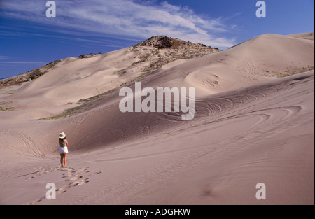 Kleine Sanddünen der Sahara Juab County Utah USA Stockfoto