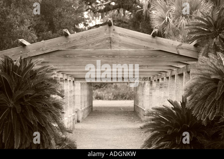 alten Laube Struktur Cumberland Island National Seashore Georgien Stockfoto