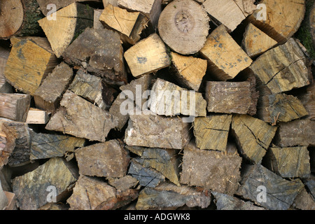 Brennholz Hampshire England. Stockfoto