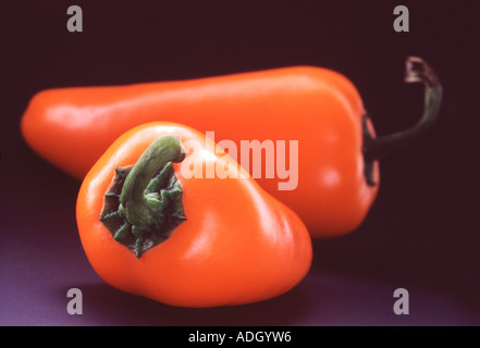 Orange "Baby Paprika" Stockfoto