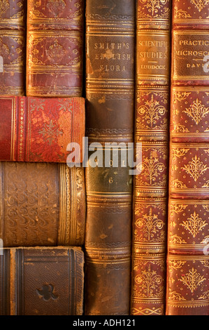 Nahaufnahme von schön gebundene Bücher Stockfoto