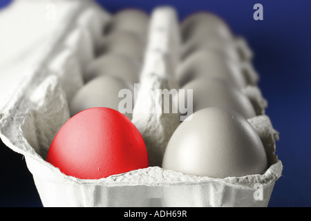 Eiern im Feld Stockfoto