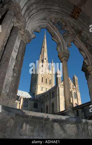 Der herrliche 330 Fuß hoch-Turm der Norwich Kathedrale gesehen aus den Klöstern Stockfoto