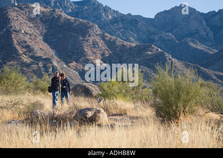 Erwachsenes paar Wandern im Bereich Wüste öffnen im Catalina State Park in der Nähe von Tucson, Arizona, USA Stockfoto