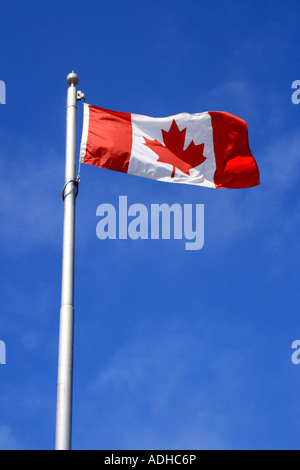 Kanadische Flagge, Kanada, Nordamerika fliegen.  Foto: Willy Matheisl Stockfoto