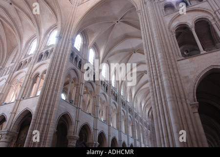 Innenraum der Kathedrale Notre-Dame (Laon-Picardie-Frankreich) Stockfoto