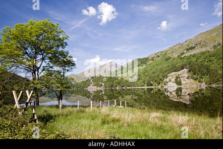 Ruhigen Sie klaren Dawn Gewässern von Llyn Gwynant Snowdonia-Nationalpark Nord-Wales Stockfoto