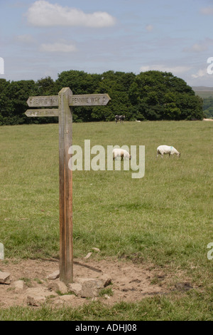 Pennine Way anmelden Eshton Moor südlich von Malham Stockfoto