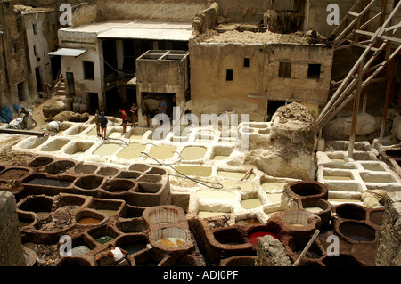 Gerberei Gerbereien Chouaras in Wadi Fes Fes Marokko Stockfoto