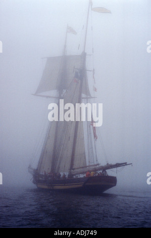 Großsegler, die eine amerikanische Flagge im tiefen Nebel in der Bucht von Fundy New Brunswick Kanada Stockfoto