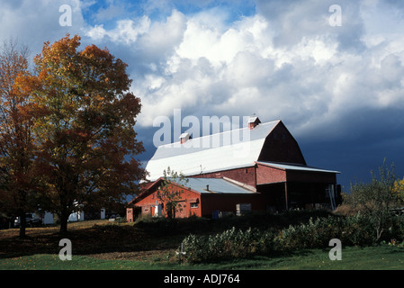 Rote Scheune eingerahmt von orange Ahorn Blätter im Herbst mit einem stürmischen Himmel hinter New Brunswick, Kanada Stockfoto