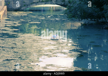 Fluss und Knollenfäule Stockfoto