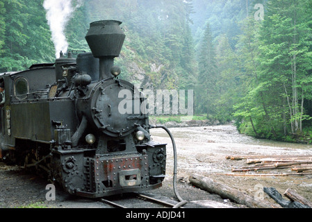 Route für Touristen In den Bergen von Maramures Siebenbürgen Viseu Eisenbahn entstand entlang des Flusses Vaser s Stockfoto