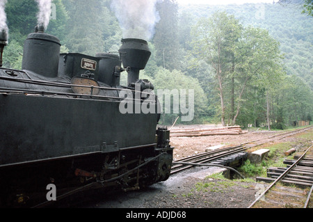 Route für Touristen In den Bergen von Maramures Siebenbürgen Viseu Eisenbahn entstand entlang des Flusses Vaser s Stockfoto