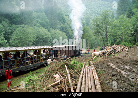Route für Touristen In den Bergen von Maramures Siebenbürgen Viseu Eisenbahn entstand entlang des Flusses Vaser s Stockfoto