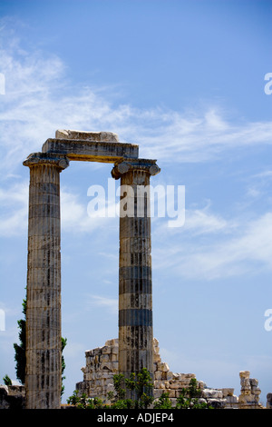 Detail - Apollo-Tempel in der Nähe von Altinkum, Türkei Stockfoto