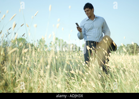 Geschäftsmann, stehen im Feld, mit Blick auf Handy Stockfoto