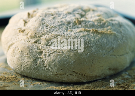 Frisch gebackenes Brot Stockfoto