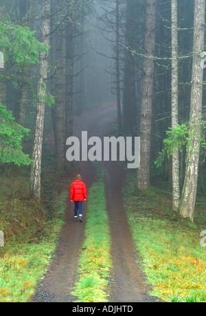 Walker unterwegs Nebel bedeckt in der Nähe von Monroe Oregon Stockfoto