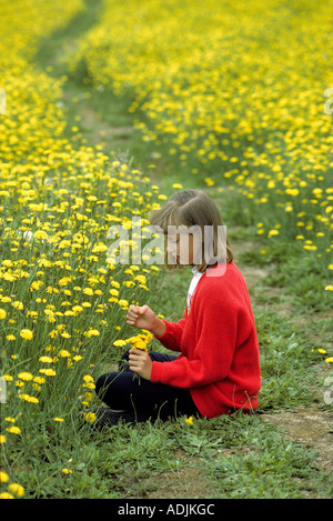 Junges Mädchen auf Löwenzahn Gebiet in der Nähe von Alpine Oregon Stockfoto