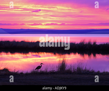 Altes Auto im Dump im Sommer See Wildlife Refuge mit Sonnenaufgang Oregon Stockfoto