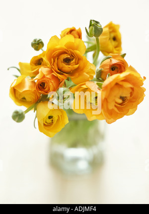 Gelbe Blumen Stockfoto