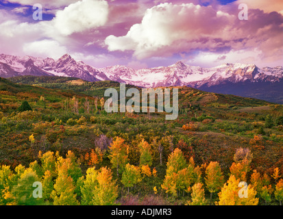 Espen im Herbst Farbe San Juan Mountains Uncompahgre National Forest Colorado Stockfoto