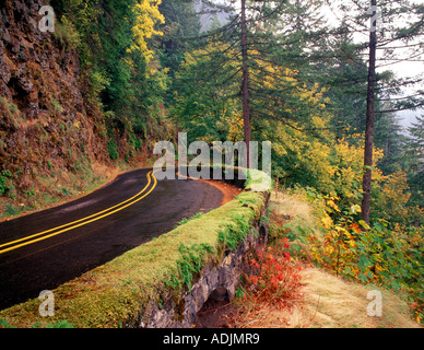 Columbia River Gorge Autobahn mit Moos bedeckt, Steinmauer und Herbst Farbe Oregon Stockfoto