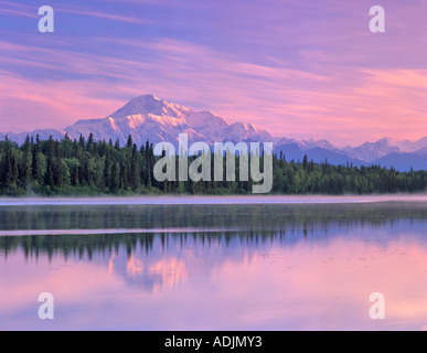 Mt McKinley spiegelt sich in kleinen Teich in der Nähe von Talkeetna Alaska Stockfoto