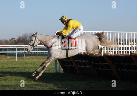 Rooster Booster und Richard Johnson in der Weihnachts-Hürde in Kempton Park Stockfoto