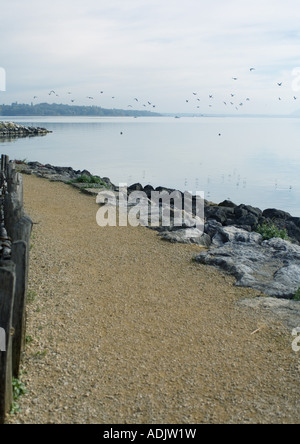 Weg am Rand des Wassers, die Vögel fliegen in Ferne Stockfoto