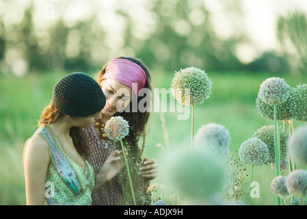 Jungen Hippie-Frauen betrachten Allium Blume Stockfoto