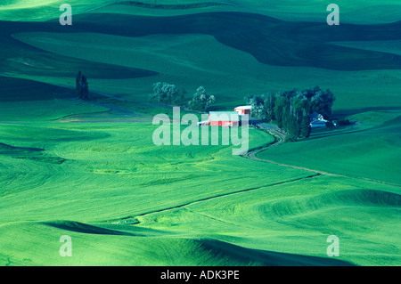 Sonnenaufgang über Ackerland mit Scheune und Haus in meist Weizen Felder der Palouse in der Nähe von Colfax Washington Stockfoto