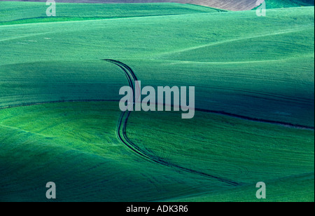 Einsame Straße im Weizenfeld The Palouse in der Nähe von Colfax Washington Stockfoto