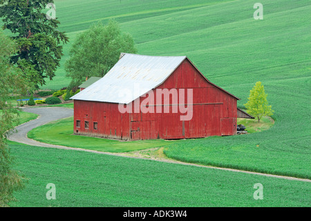 Scheune und sanften Hügeln der Weizen der Palouse in der Nähe von Pullman Washington Stockfoto