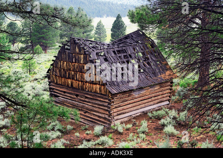 Scheune in Freemont National Forest Oregon ausgebrannt Stockfoto