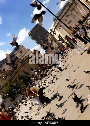 Trafalgar Square, London, England Stockfoto