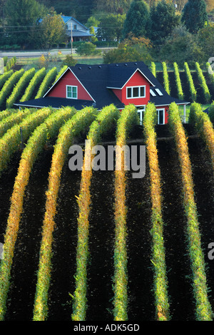 Sokol Blosser Weinberge im Herbst Farbe und Haus Top Oregon Stockfoto