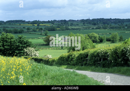 Bosworth Schlachtfeld Seite Blick auf Market Bosworth, Leicestershire, England, UK Stockfoto