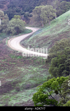 Bear Creek Road Bear Valley in Kalifornien Stockfoto