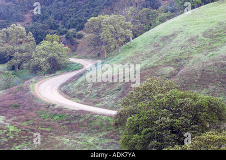 Bear Creek Road Bear Valley in Kalifornien Stockfoto