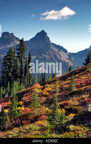 Tatoosh Berge mit Herbstfarben von Mt Rainier Nationalpark Washington gesehen Stockfoto