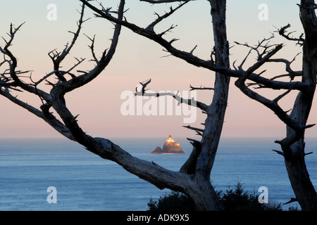 Tillamook Felsen Leuchtturm und toter Baum Oregon Stockfoto