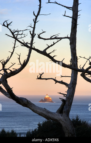 Tillamook Felsen Leuchtturm und toter Baum Oregon Stockfoto