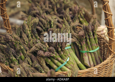 Die Trauben der Spargel in einem Korb auf einem Bauernmarkt Stockfoto